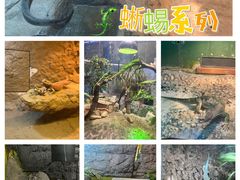 -上海大自然野生昆虫馆