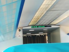 -龙阳路磁悬浮列车总站-停车场