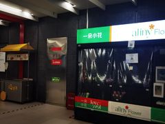 -平安里(地铁站)