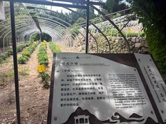 -石老人观光园