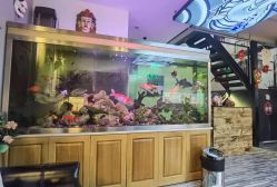 -雕哥的纹身店A3 TATTOO&纹身培训