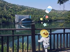 -江西阳明山国家森林公园