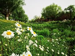 -汉长安城未央宫国家考古遗址公园