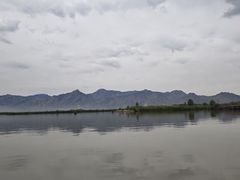 -哈素海