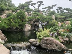 -罗红摄影艺术馆