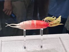 -河南博物院