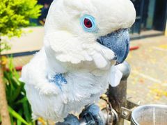 -卤儿道道(经纬店)