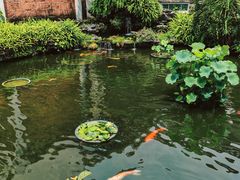 -东莞市可园博物馆