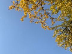 -佛荫寺