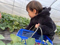 -小鱼草莓采摘园农家乐·小鱼餐厅