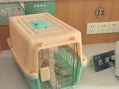 -联合动物医院(光谷诊疗中心)