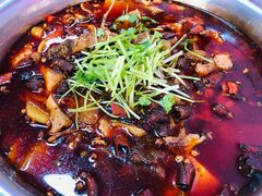 -郑姐私房菜•家常菜