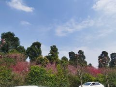 -白鹭湾湿地公园