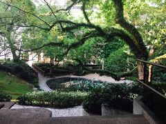 -香港大学