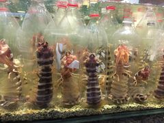 -Isla Sugbu Seafood City