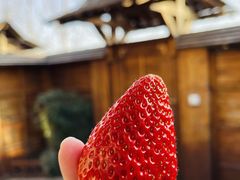 -御林汤泉