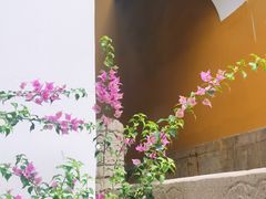 -西园戒幢律寺