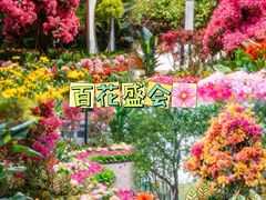 -龙凤山庄影视度假村
