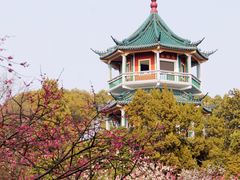 -无锡梅园公园