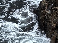 -小梅沙海滨乐园