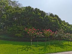-龙头寺公园