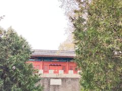 -云岗森林公园