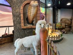 -沙沙哗啦海洋馆(华宇百花谷店)