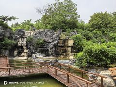 -上海吴淞炮台湾国家湿地公园