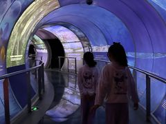-房山世界地质公园博物馆