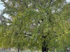 -食膳公园包子铺(烈士公园店)