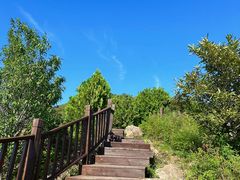 -北京十三陵国家森林公园蟒山景区