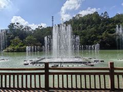 -广州白江湖森林公园