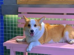 -恩泽家·果味坛子韩国炭火烤肉(白石龙店)