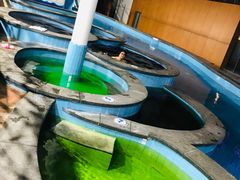 -嘉佑温泉水世界