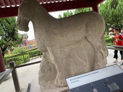 -茂陵博物馆