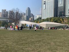 -重庆市江北嘴中央商务区中央公园