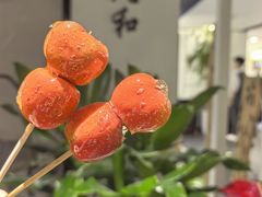-羲和雅苑•北京烤鸭(国贸商城店)