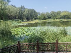 -北坞公园