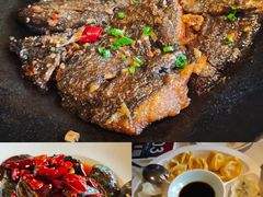 -开海·红岛海鲜虾水饺(石老人店)