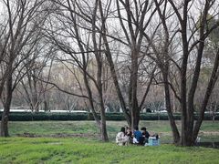 -西溪国家湿地公园