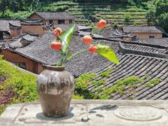 -杨家堂村