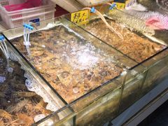 水产区-珠光市场(文德南路)