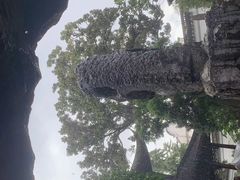-拙政园