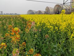 -中国天府农业博览园