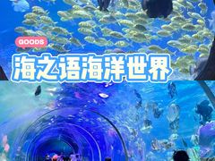 -观澜湖新城运动奥莱区