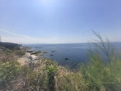 -养马岛旅游度假区