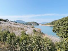 -广州市流溪河国家森林公园