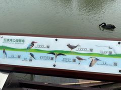 -五缘湾湿地公园