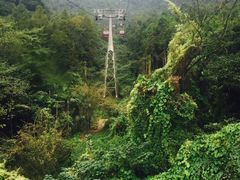 -青城山