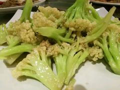 -麦船长